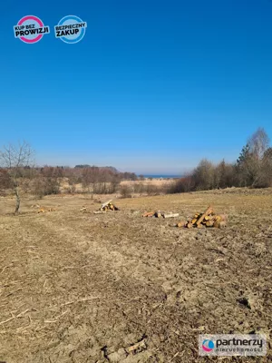 Zdjęcie oferty