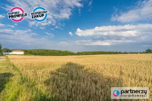 Działka 1 000,00 m², Chwaszczyno, Podleśna, Sprzedaż