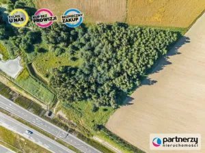 Działka 8 624,00 m², Przyjaźń, Sprzedaż