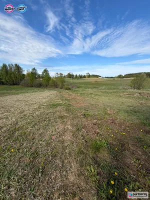 Działka 1 003,00 m², Kamień, Psale, Sprzedaż