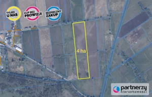 Działka 40 500,00 m², Roszkowo, Wierzbowa, Sprzedaż