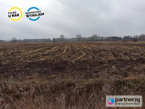 Działka 40 500,00 m², Roszkowo, Wierzbowa, Wynajem