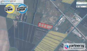 Działka 3 000,00 m², Zajączkowo, Sprzedaż
