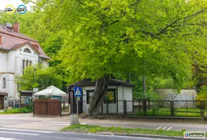 Lokal użytkowy 34,00 m², Gdańsk, Wrzeszcz, Jaśkowa Dolina, Sprzedaż