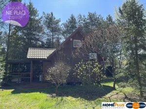 Domy 24975/78/ODS Arciechów