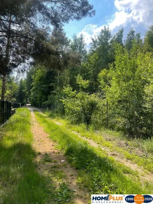 Działka 2 068,00 m², Borki, Sprzedaż
