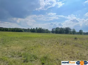 Działka 8 808,00 m², Borki, Sprzedaż