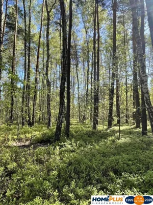 Działka 1 116,00 m², Ciemne, Sprzedaż
