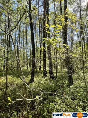 Działka 1 397,00 m², Ciemne, Sprzedaż