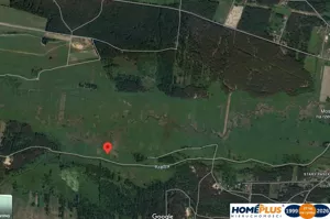 Działka 7 900,00 m², Dobczyn, Sprzedaż