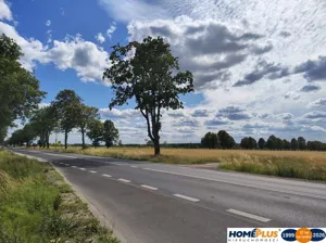 Działka 6 000,00 m², Gzowo, Sprzedaż
