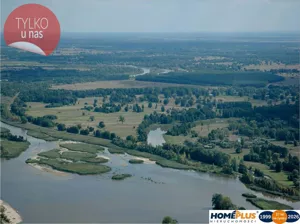 Działka 25 000,00 m², Kuligów, Sprzedaż