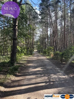 Działka 1 500,00 m², Łosie, Sprzedaż
