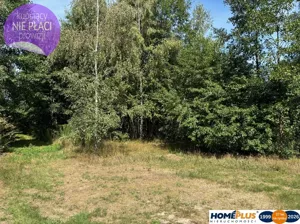 Działka 3 566,00 m², Ludwinów, Sprzedaż