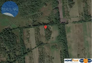 Działka 10 496,00 m², Mrozowa Wola, Sprzedaż