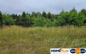 Działka 4 827,00 m², Nowe Załubice, Sprzedaż