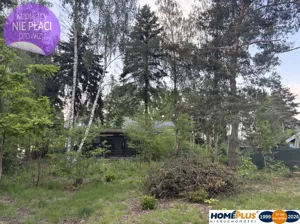 Działka 800,00 m², Nowe Załubice, Sprzedaż