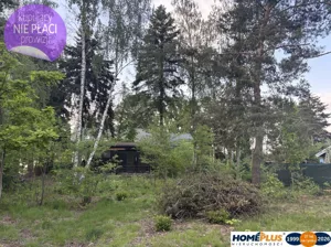 Działka 800,00 m², Nowe Załubice, Sprzedaż