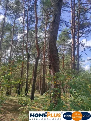 Działka 1 999,00 m², Radzymin, Sprzedaż