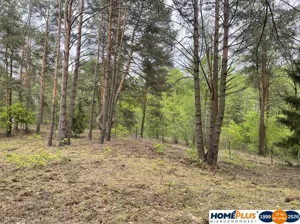 Działka 2 064,00 m², Radzymin, Sprzedaż