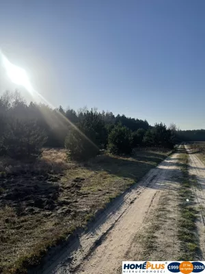 Działka 6 241,00 m², Ruda, Sprzedaż