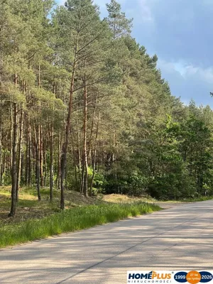 Działka 6 883,00 m², Ruda, Sprzedaż
