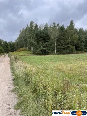 Działka 7 000,00 m², Sieraków, Sprzedaż