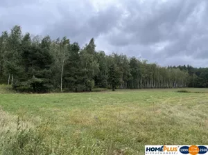 Działka 4 113,00 m², Sieraków, Sprzedaż