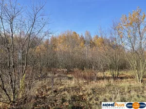 Działka 5 428,00 m², Słupno, Sprzedaż