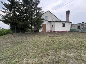 Dom wolnostojący 124,00 m², Bodzanowo, Sprzedaż