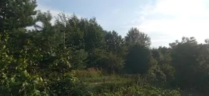 Domy 9705/3186/ODS Kraków Adama Krzyżanowskiego