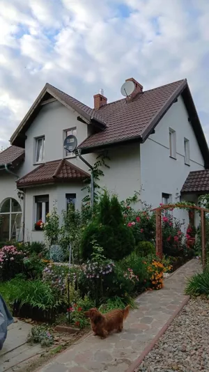 Domy 9745/3186/ODS Pamiątkowo Witoldzińska