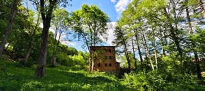 Dom wolnostojący 325,00 m², Brzeźnica-Kolonia, Sprzedaż