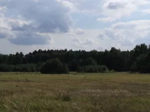 Działka 40 000,00 m², Polkowice, Aleja Marszałka Józefa Piłsudskiego, Sprzedaż