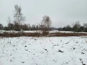 Działka 7 542,00 m², Arciechów, Sprzedaż