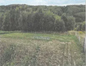 Działka 5 600,00 m², Barycz, Sprzedaż