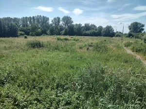 Działka 9 950,00 m², Gronowo Górne, Berylowa, Sprzedaż