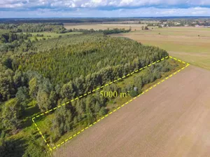 Działka 5 000,00 m², Białogórzyno, Sprzedaż