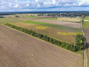 Działka 5 000,00 m², Białogórzyno, Sprzedaż