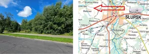 Działka 13 994,00 m², Bierkowo, Sprzedaż