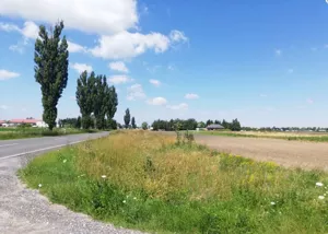 Działka 14 751,00 m², Błaszki, Sprzedaż