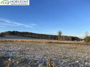 Działka 1 030,00 m², Bojano, Sprzedaż