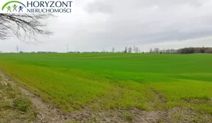 Działka 1 222,00 m², Borcz, Sprzedaż