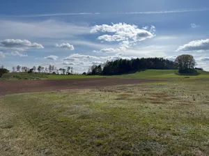 Działka 1 149,00 m², Borzestowo, Sprzedaż