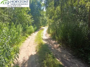 Działka 954,00 m², Borzestowo, Sprzedaż