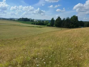 Działka 1 011,00 m², Borzestowska Huta, Sprzedaż