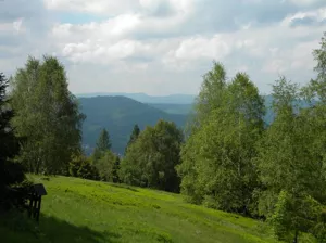 Działka 1 600,00 m², Brenna, Sprzedaż