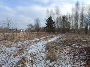 Działka 22 704,00 m², Chocianów, Sprzedaż