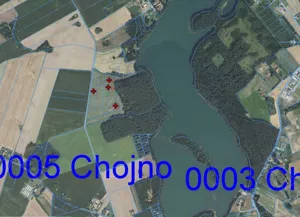 Działka 1 050,00 m², Chojno, Sprzedaż