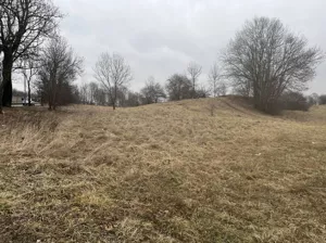 Działka 7 834,00 m², Bytom, Długa, Sprzedaż